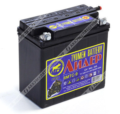 Аккумулятор 6МТС Tyumen Battery Мото 